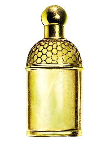 Aqua Allegoria Laurier - Reglisse - آکوا آلگوریا لوریه-رگلیس