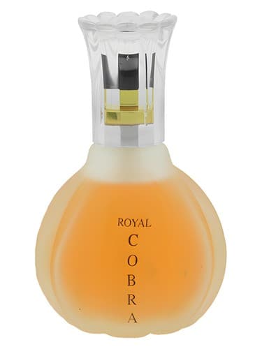 Royal Cobra - کبرای سلطنتی