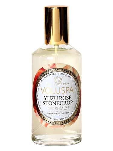 Yuzu Rose Stonecrop