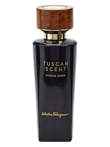 Incense Suede - اینسنس سوید
