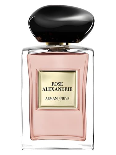 Rose Alexandrie - رز الکساندری