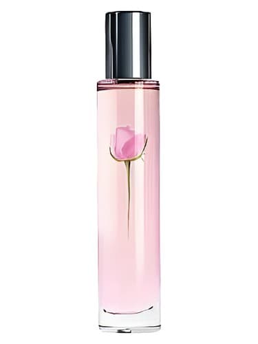 Sheer Rose - رز محض