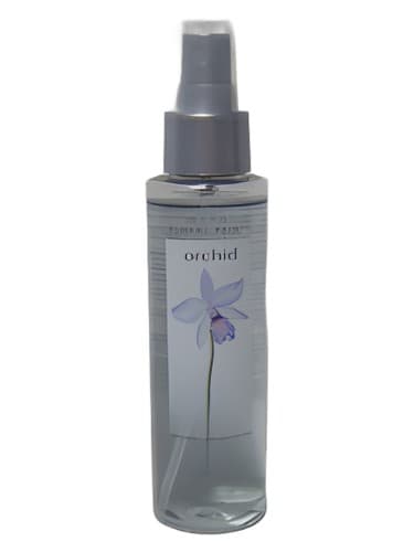 Orchid - ارکیده