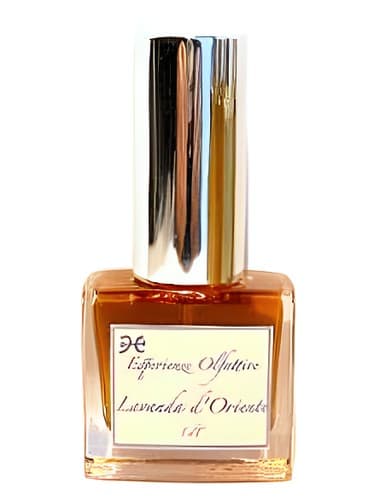 Lavanda d'Oriente - لاواندا دو اورینته