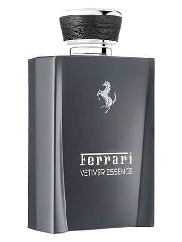 Vetiver Essence - وتیور اسنس