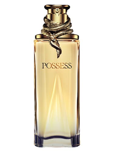 Possess - پسس