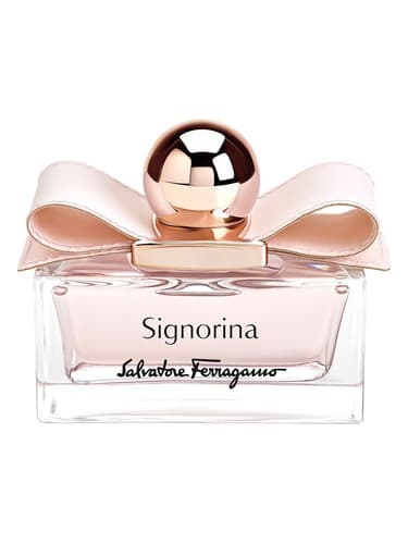 Signorina Leather Edition - نسخه چرم سیگنورینا