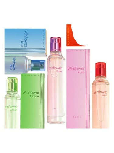 Winflower Rose - گل رز وینفلاور