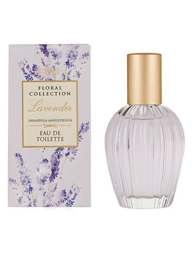 Lavender - اسطوخودوس
