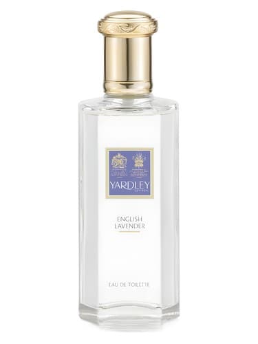 English Lavender - انگلیش لاوندر