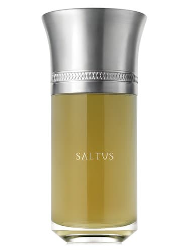Saltus - سالتوس