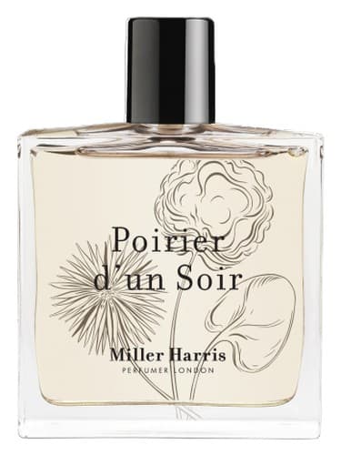 Poirier d'un Soir - پوآریر دون سوار