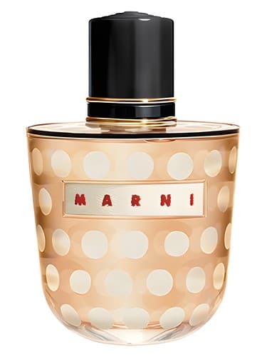 Marni Spice - مارنی اسپایس