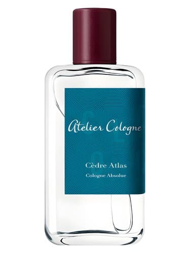 Cedre Atlas - سدر اطلس