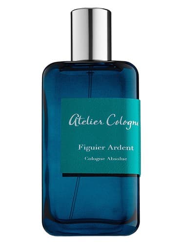Figuier Ardent - فیگور آردنت