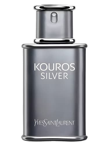Yves Saint Laurent Kouros Silver - ایو سن لوران کوروس سیلور