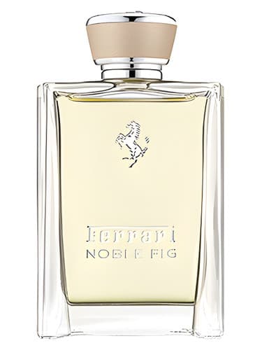 Noble Fig