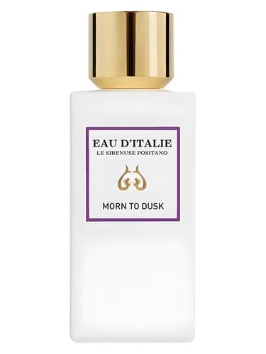 Morn to Dusk - مورن تو داسک