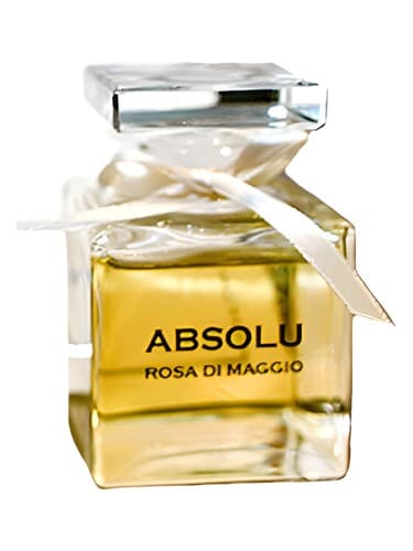 Absolu Rosa Di Maggio 