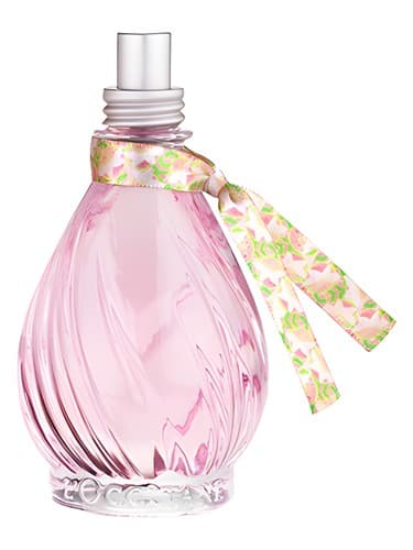 Flor de Goiaba