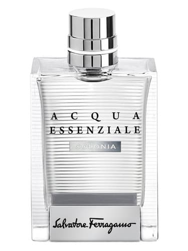 Acqua Essenziale Colonia - آکوا اسنزیاله کلونیا