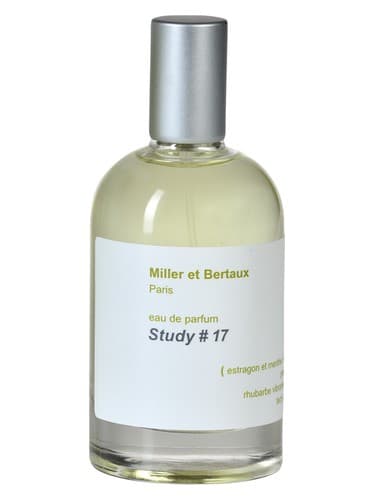 Study No. 17 - استادی نامبر ۱۷
