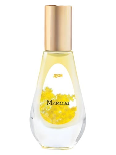 Mimoza - میموزا