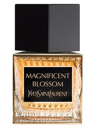 Magnificent Blossom - مگنیفیسنت بلوسوم