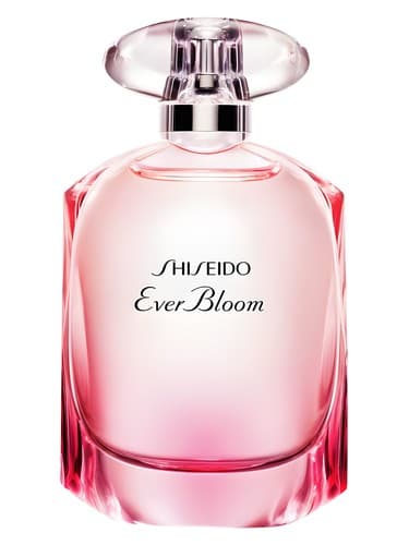Ever Bloom  - اور بلوم