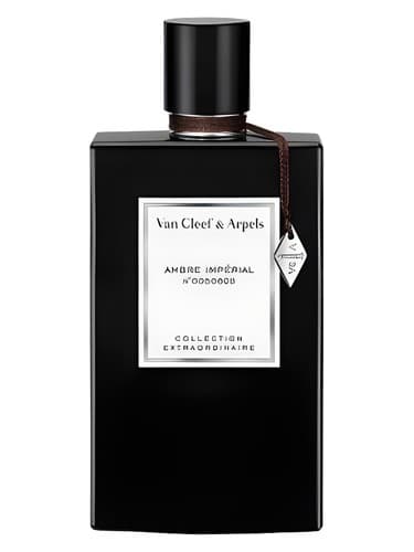 Ambre Impérial - آمبره امپریال
