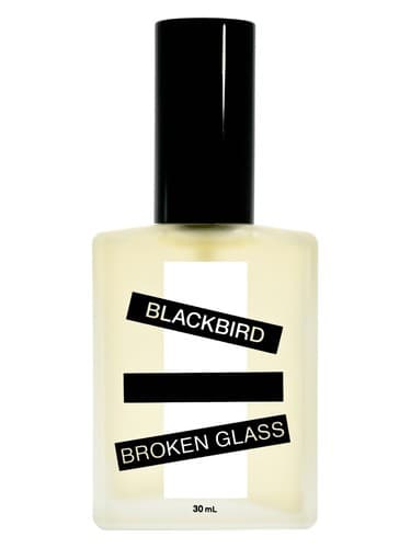 Broken Glass - شیشه شکسته