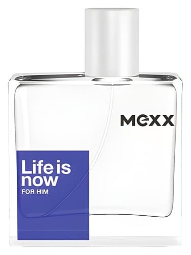 Life is Now for Him - زندگی اکنون برای اوست
