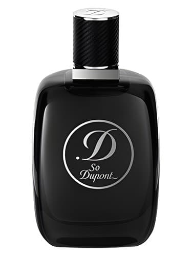 So Dupont Paris by Night pour Homme