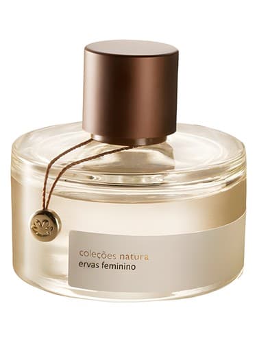Ervas Feminino - ارواس فمینینو