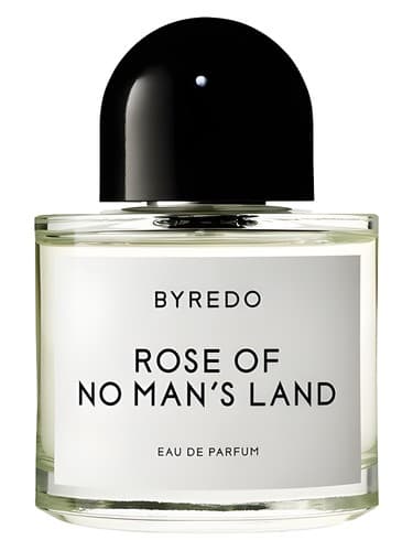 Rose Of No Man's Land - رز آف نو منز لند