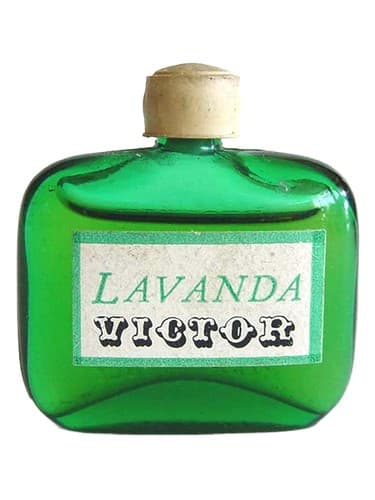 Lavanda - لاواندا
