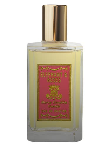 Elephant & Roses - فیل و رز