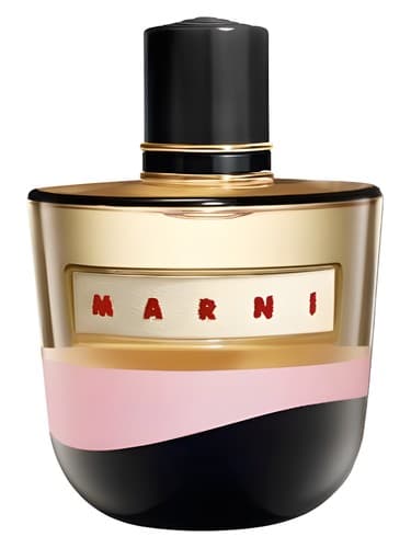 Marni Element - عنصر مارنی