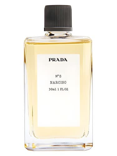 No5 Narciso - شماره 5 نارسیسو
