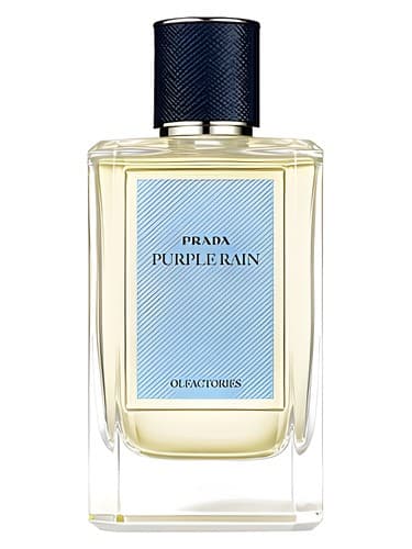 Purple Rain - پرپل رین