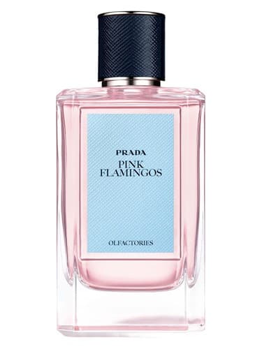 Pink Flamingos - پینک فلامینگوز