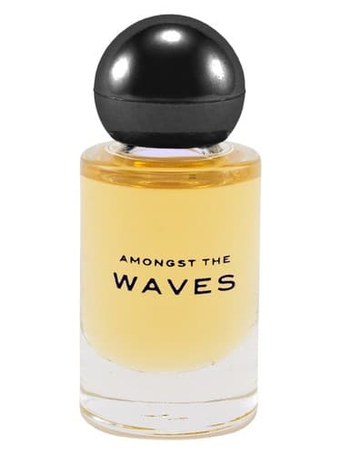 Amongst the Waves - امانجست د ویوز