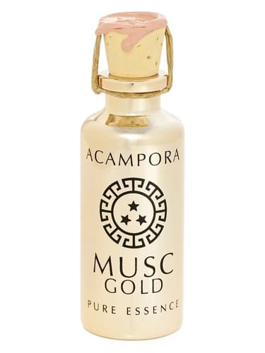 Musc Gold – Pure Essence - طلای Musc – جوهر پیور