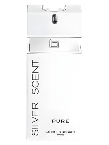 Silver Scent Pure - سیلور سنت پیور
