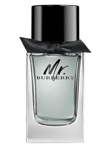 Mr. Burberry - مستر باربری