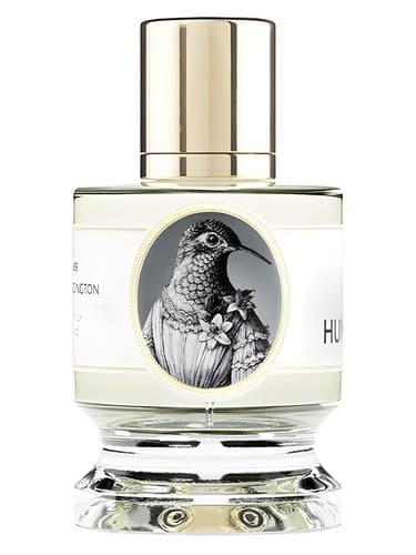 Hummingbird - هامینگبرد