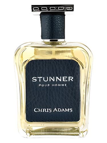 Stunner Pour Homme - خیره کننده پور هوم