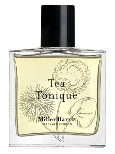Tea Tonique - تی تونیک