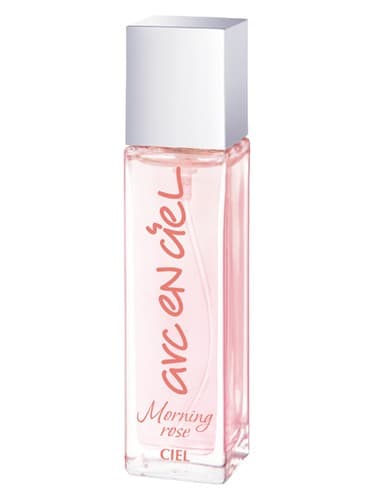 Arc-en-Ciel Morning Rose