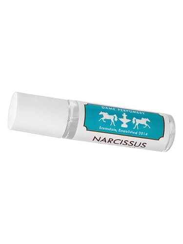Soliflore Narcissus - نرگس سولی فلور
